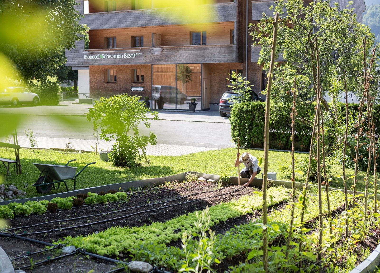 Schwanen III image 9 - Biohotel Schwanen