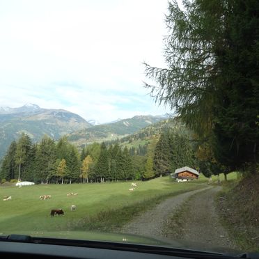 Access road, Moaralmhütte, Dölsach, Osttirol, Tyrol, Austria