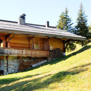 Sommer, Brandstatt Alm, Finkenberg, Tirol, Tirol, Österreich