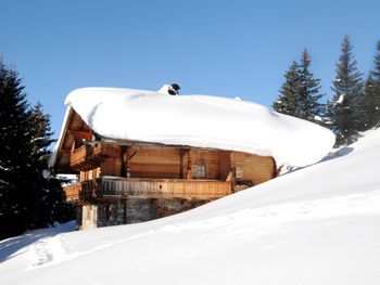 Brandstatt Alm - Tirol - Österreich