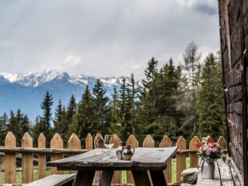 Reh's Wiesen Hütte - Trentino-Südtirol - Italien