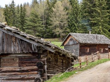 Reh's Wiesen Hütte - Trentino-Alto Adige - Italy