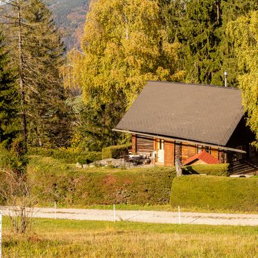 Autumn, Ferienhütte Windlegern, Neukirchen, Oberösterreich, Upper Austria, Austria