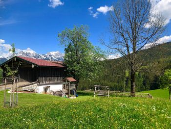 Göglgut - Salzburg - Österreich