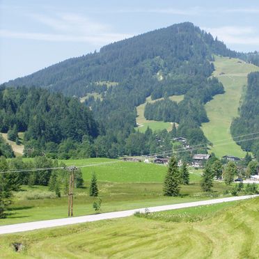 Surroundings, Oberholzerhütte, Unken, Salzburg, Salzburg, Austria