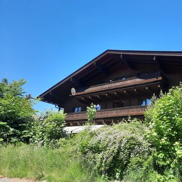 Sommer, Haus Rösslhof, Goldegg, Salzburg, Salzburg, Österreich