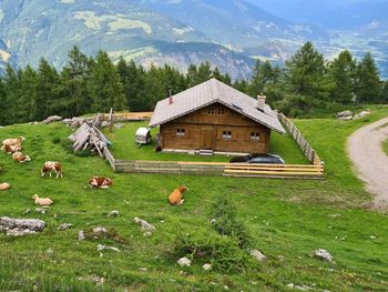 Fröschlhütte - Kärnten - Österreich