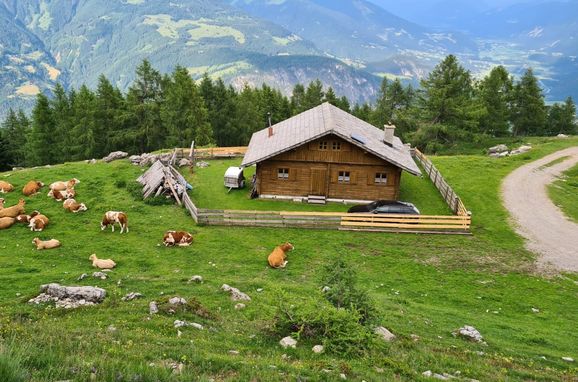 Sommer, Fröschlhütte, Oberdrauburg, Kärnten, Kärnten, Österreich