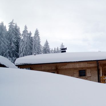 Seitenansicht1, Kogelalm, Hainzenberg, Tirol, Tirol, Österreich