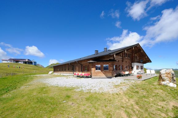 Sommer, Latschenalm, Jochberg, Tirol, Tirol, Österreich