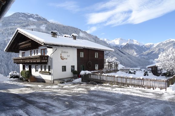 Winter, Plenkenhof, Neukirchen, Salzburg, Salzburg, Österreich