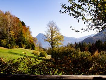 Kuschelhütte - Oberösterreich - Österreich