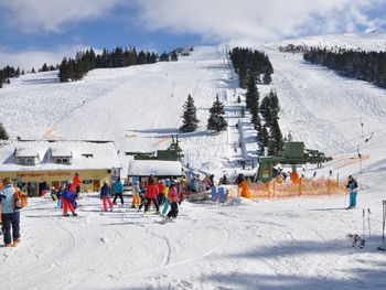 Almrausch-Feriendorf Koralpe - Carinthia  - Austria