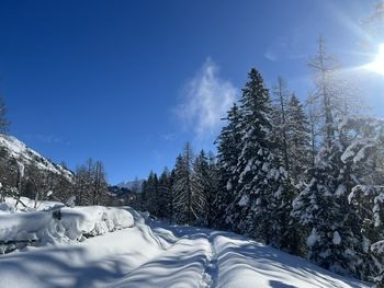 Gottschallalm - Salzburg - Österreich
