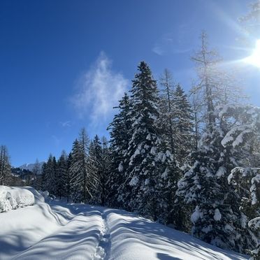 WInter, Gottschallalm, Obertauern, Salzburg, Salzburg, Österreich