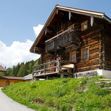 Sommer, Gottschallalm, Obertauern, Salzburg, Salzburg, Österreich