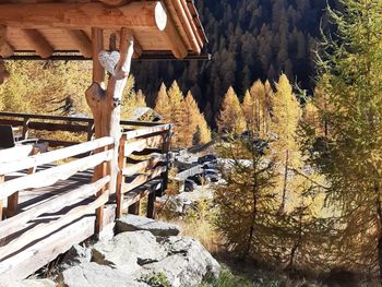 Almrosenhütte - Carinthia  - Austria