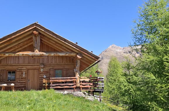 Summer, Almrosenhütte, Mörtschach, Kärnten, Carinthia , Austria