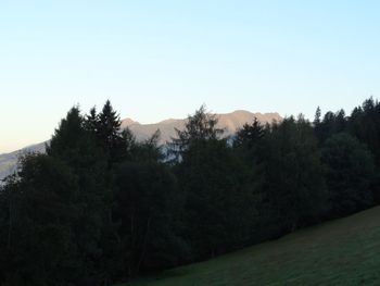 Pirschhütte - Steiermark - Österreich