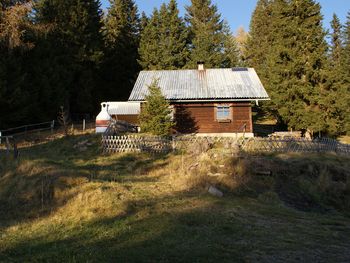 Zirbenwaldhütte - Steiermark - Österreich