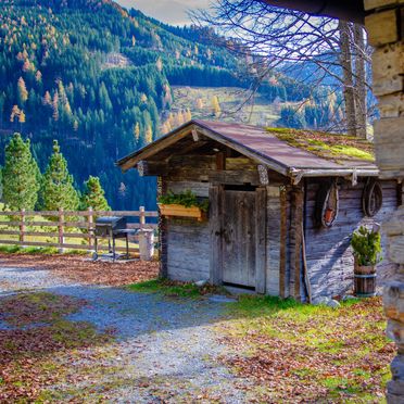 Herbst, Grasreithütte, Großarl, Salzburg, Salzburg, Österreich