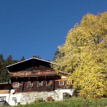 Herbst, Grasreithütte, Großarl, Salzburg, Salzburg, Österreich