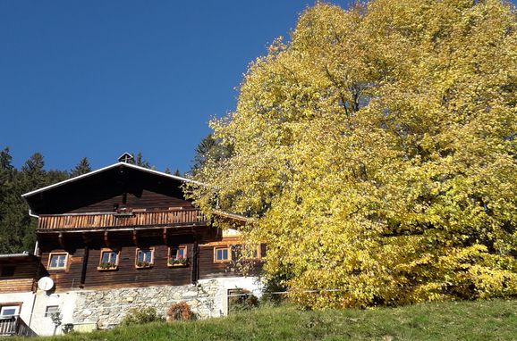 Herbst, Grasreithütte, Großarl, Salzburg, Salzburg, Österreich