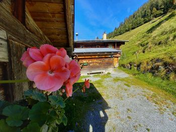 Grasreithütte - Salzburg - Österreich