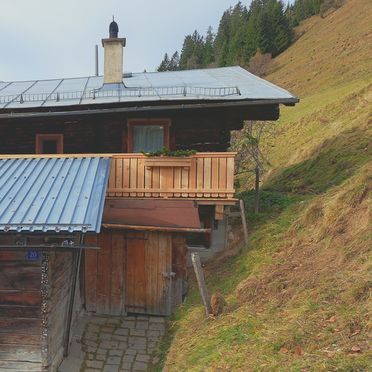 Winter, Grasreithütte, Großarl, Salzburg, Salzburg, Austria