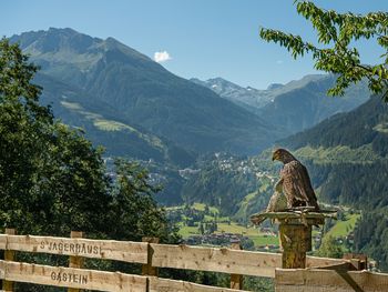 Jaga Häusl - Salzburg - Österreich