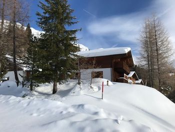 Vordergottschallalm - Salzburg - Österreich