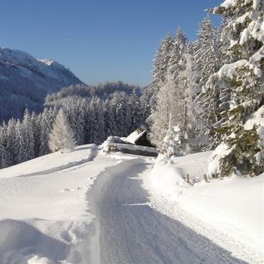 , Jagastube, Neukirchen, Oberösterreich, Upper Austria, Austria