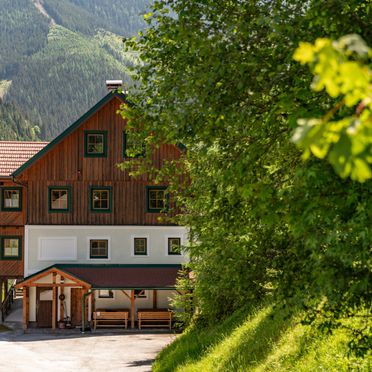 Sommer, Druckfeichter Hütte, Pruggern, Steiermark, Styria , Austria