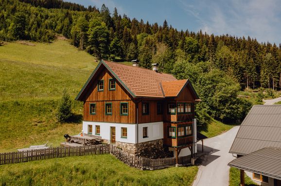 Summer, Druckfeichter Hütte, Pruggern, Steiermark, Styria , Austria