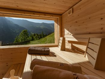 Druckfeichter Hütte - Styria  - Austria