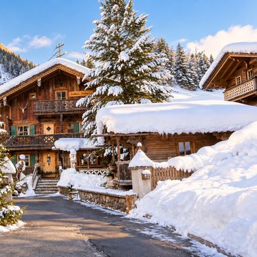 , Forsthaus Daringer, Mayrhofen, Tirol, Tyrol, Austria