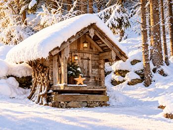 Forsthaus Daringer - Tirol - Österreich