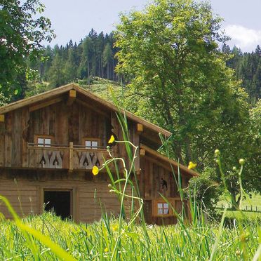 Sommer, Gschwandtner Hüttn, Petersberg, Steiermark, Steiermark, Österreich