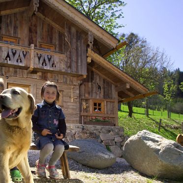 Sommer, Gschwandtner Hüttn, Petersberg, Steiermark, Steiermark, Österreich