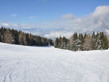 Almliebe-Feriendorf Koralpe - Carinthia  - Austria