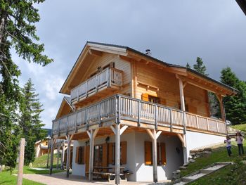 Almliebe-Feriendorf Koralpe - Carinthia  - Austria