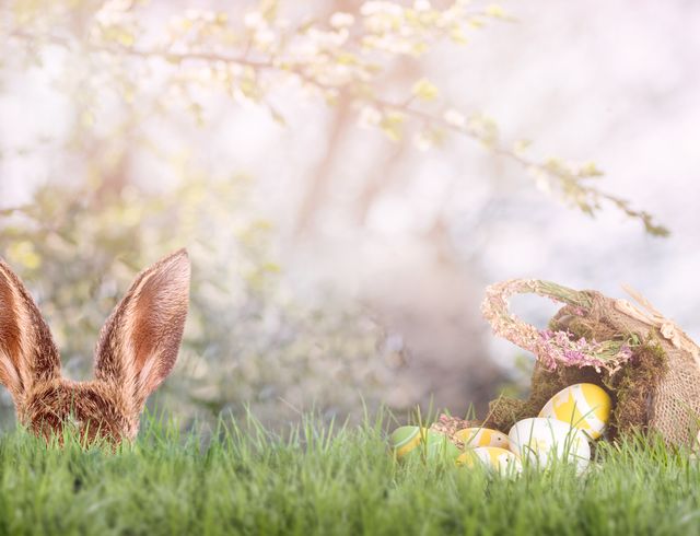 Angebot: Osterglück - 6 Tage wohnen - 5 Tage bezahlen - Parkhotel Burgmühle