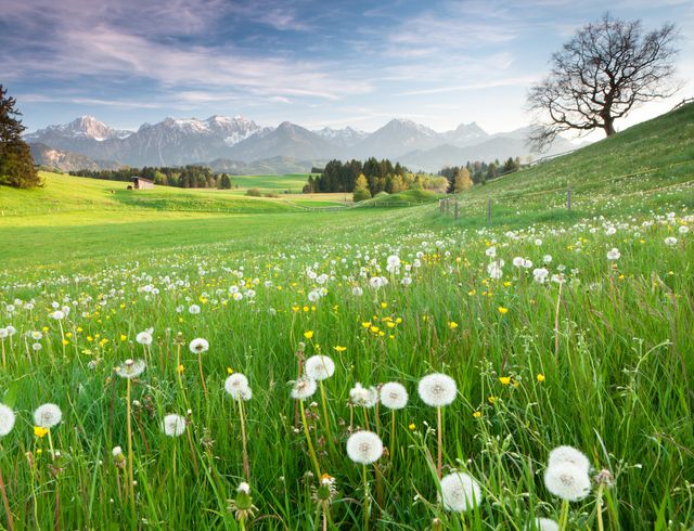 Angebot: Frühlingserwachen - Opening - Parkhotel Burgmühle