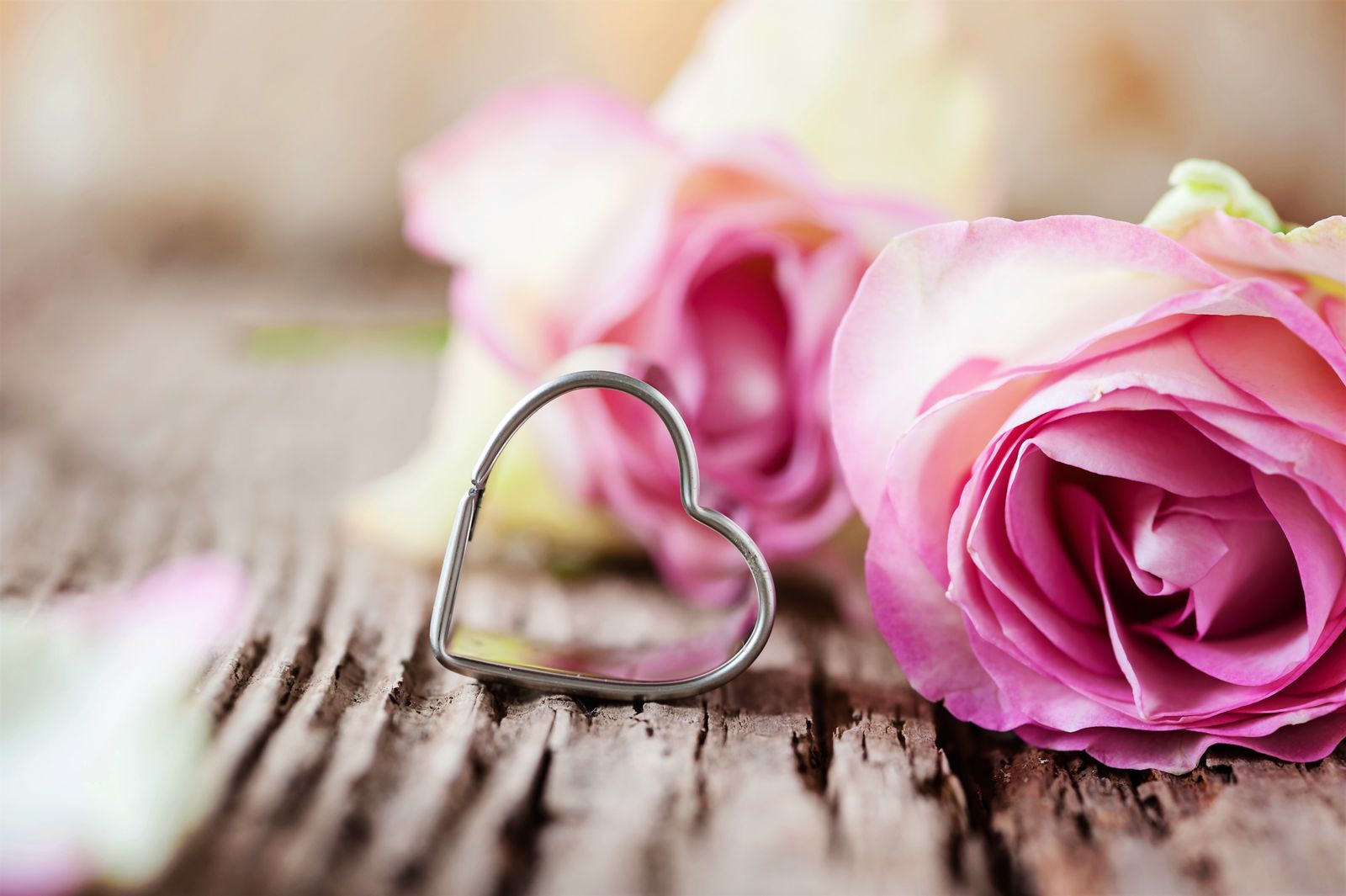 Luxury board package - from 7 nights  image 1 - Parkhotel Burgmühle