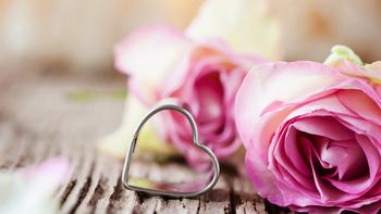 Luxury board package - from 7 nights 