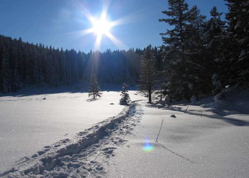 Biohotel Stillebach Hotel Angebot Winter Wander Woche - Biohotel Stillebach