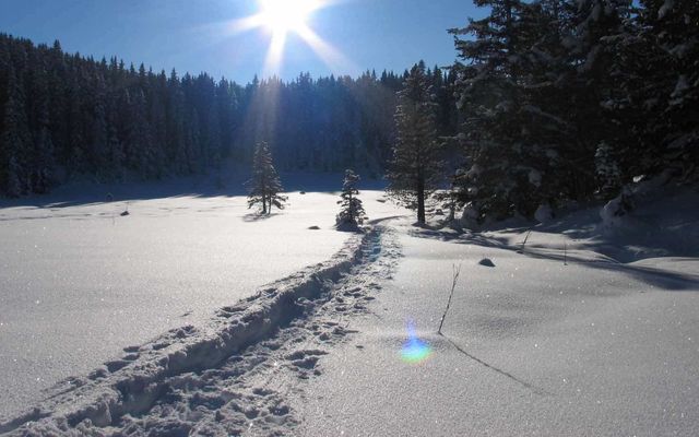 Biohotel Stillebach: Winter Wander Weeks 