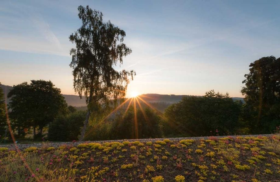 Himmelfahrt 4 Nächte