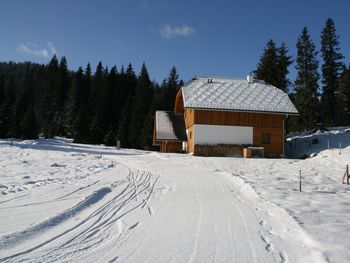 Hüttendorf Flattnitz - Typ C - Carinthia  - Austria