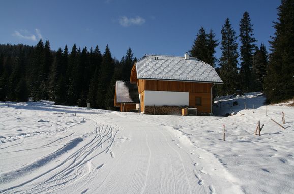 Seitenansicht, Hüttendorf Flattnitz - Typ C, Glödnitz, Kärnten, Kärnten, Österreich